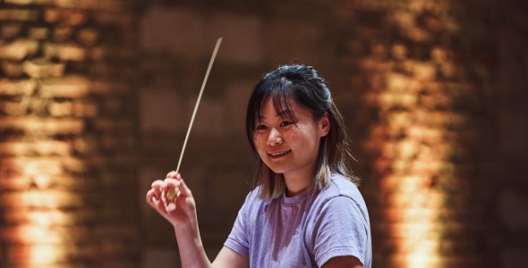 Photo of Instruments in Chinese Music: The erhu