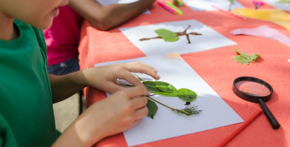 Story Garden: A Garden Collage