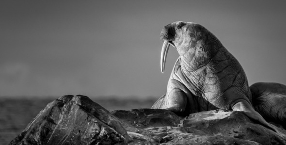 South Manchester Camera Club Exhibition