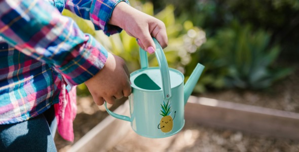 Make Cress Heads for Green Libraries Week!